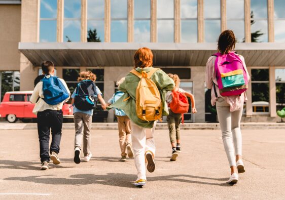 Podstawa programowa a program nauczania 