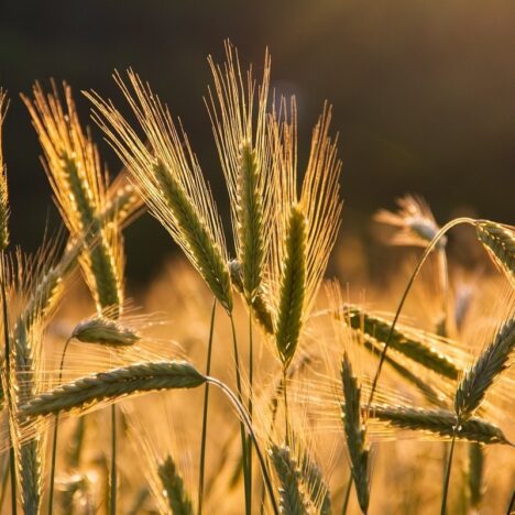 Zarządzanie projektami budowlanymi – czego możesz oczekiwać w ramach usług generalnego wykonawcy?