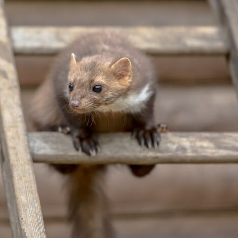 Sukienki – esencja kobiecości na outley.pl